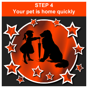 Scan Me Home Pet QR Code ID Tag and GPS Tracking Collar Step 4