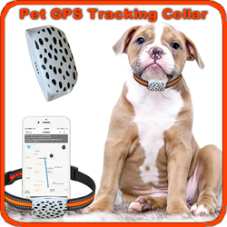 Scan Me Home QR Code Pet ID Tag and GPS Tracking Collar Buy Online Product 3_4 Image