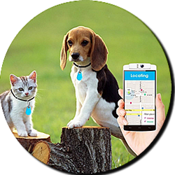 Scan Me Home Pet ID QR Code Tag and GPS Tracking Collar What Is A Bluetooth Tracker Image 1_1
