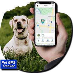 Scan Me Home Pet ID QR Code Tag and Tracking Collar What Is A GPS Tracker Image 1_1